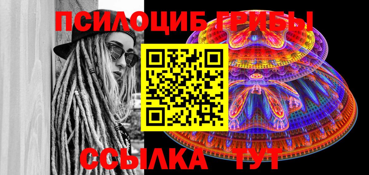 Галлюциногенные грибы Psilocybe Новороссийск